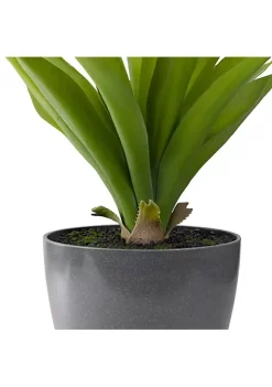 Best Sale ❤️ Northlight 22" Potted Green Artificial Agave Plant ✨ -Outlet Northlight Store Belk 1446