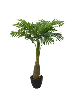 Best reviews of ⌛ Northlight 38" LED Lighted Potted Artificial Palm Plant 🌟