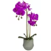 Buy 🔔 Northlight 14" Purple Artificial Orchid Plant with a Gray Stone Pot 🔥 -Outlet Northlight Store Belk 1466