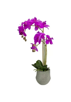 Buy 🔔 Northlight 14" Purple Artificial Orchid Plant with a Gray Stone Pot 🔥 -Outlet Northlight Store Belk 1468