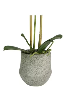 Buy 🔔 Northlight 14" Purple Artificial Orchid Plant with a Gray Stone Pot 🔥 -Outlet Northlight Store Belk 1469
