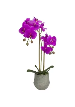 Buy 🔔 Northlight 14" Purple Artificial Orchid Plant with a Gray Stone Pot 🔥 -Outlet Northlight Store Belk 1470