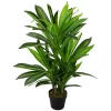 Hot Sale 😍 Northlight 35" Green Artificial Dracaena Potted Plant 😉