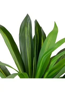 Hot Sale 😍 Northlight 35" Green Artificial Dracaena Potted Plant 😉 -Outlet Northlight Store Belk 1478