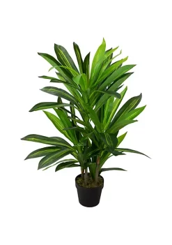 Hot Sale 😍 Northlight 35" Green Artificial Dracaena Potted Plant 😉 -Outlet Northlight Store Belk 1480