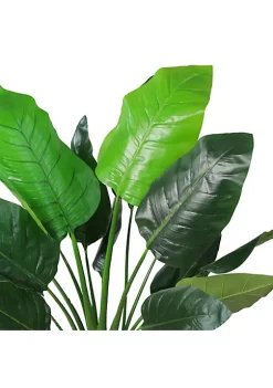 Best deal 🔔 Northlight 43" Potted Green Artificial Bird of Paradise Plant ⭐ -Outlet Northlight Store Belk 1483