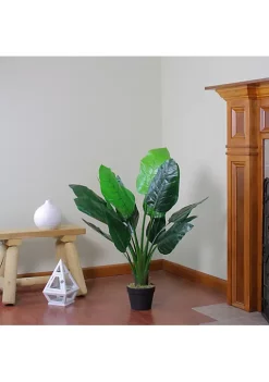 Best deal 🔔 Northlight 43" Potted Green Artificial Bird of Paradise Plant ⭐ -Outlet Northlight Store Belk 1484