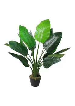 Best deal 🔔 Northlight 43" Potted Green Artificial Bird of Paradise Plant ⭐ -Outlet Northlight Store Belk 1485