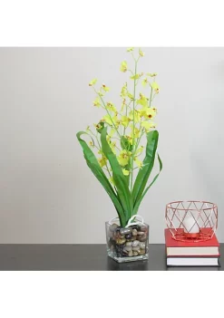 Coupon 😀 Northlight 23.5" Green and Yellow Potted Artificial Orchid Flower Plant ⌛ -Outlet Northlight Store Belk 1492