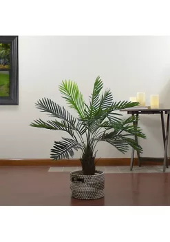 Outlet 🛒 Northlight 35" Green Artificial Miniature Potted Palm Plant 🤩 -Outlet Northlight Store Belk 1494