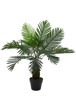 Outlet 🛒 Northlight 35" Green Artificial Miniature Potted Palm Plant 🤩 -Outlet Northlight Store Belk 1497