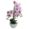 New 🌟 Northlight 21" Pink and White Artificial Orchid Plant In a White Pot 🔥 -Outlet Northlight Store Belk 1532