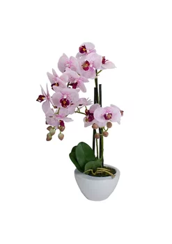 New 🌟 Northlight 21" Pink and White Artificial Orchid Plant In a White Pot 🔥 -Outlet Northlight Store Belk 1534