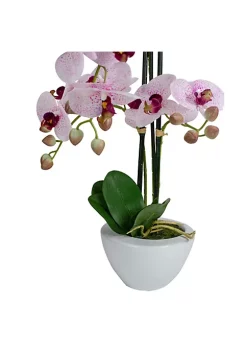New 🌟 Northlight 21" Pink and White Artificial Orchid Plant In a White Pot 🔥 -Outlet Northlight Store Belk 1535