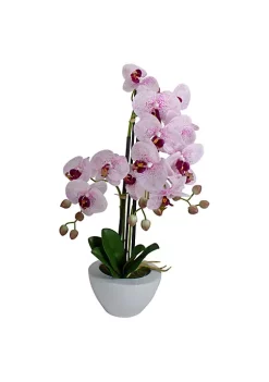 New 🌟 Northlight 21" Pink and White Artificial Orchid Plant In a White Pot 🔥 -Outlet Northlight Store Belk 1536