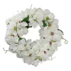 Cheap 😀 Northlight White Magnolias Artificial Spring Wreath - 24-Inch Unlit 🤩