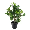 Best reviews of 👍 Northlight 23" Green and Black Bonsai Style Apple Artificial Potted Tree ✨ -Outlet Northlight Store Belk 1541