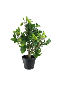 Best reviews of 👍 Northlight 23" Green and Black Bonsai Style Apple Artificial Potted Tree ✨