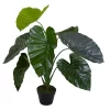 Hot Sale 👏 Northlight 40" Green Artificial Taro Potted Plant 😉 -Outlet Northlight Store Belk 1543