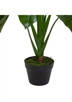 Hot Sale 👏 Northlight 40" Green Artificial Taro Potted Plant 😉 -Outlet Northlight Store Belk 1545