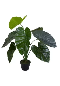 Hot Sale 👏 Northlight 40" Green Artificial Taro Potted Plant 😉 -Outlet Northlight Store Belk 1546