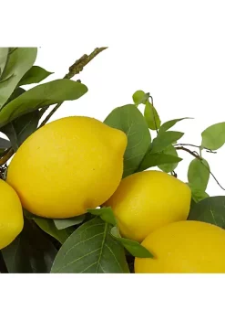 Wholesale 🛒 Northlight Lemons and Assorted Foliage Spring Wreath Yellow and Green 20" 🤩 -Outlet Northlight Store Belk 1579