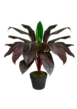 Best Pirce ✔️ Northlight 23" Red and Green Artificial Dracaena Potted Plant Home Decor 👍