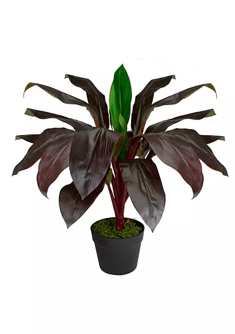 Best Pirce ✔️ Northlight 23" Red and Green Artificial Dracaena Potted Plant Home Decor 👍 3 Best Pirce ✔️ Northlight 23" Red and Green Artificial Dracaena Potted Plant Home Decor 👍
