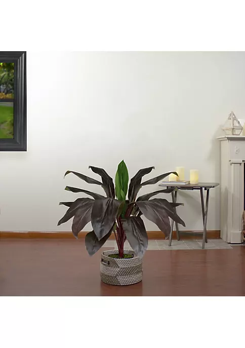 Best Pirce ✔️ Northlight 23" Red and Green Artificial Dracaena Potted Plant Home Decor 👍 4 Best Pirce ✔️ Northlight 23" Red and Green Artificial Dracaena Potted Plant Home Decor 👍 - Image 2