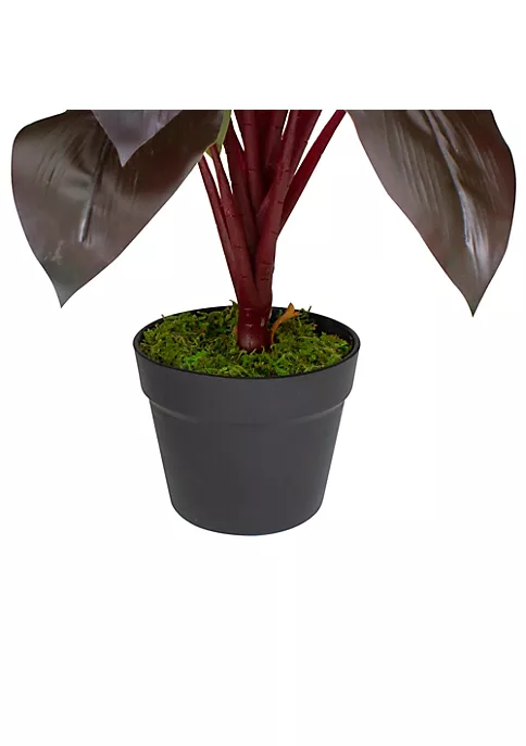 Best Pirce ✔️ Northlight 23" Red and Green Artificial Dracaena Potted Plant Home Decor 👍 6 Best Pirce ✔️ Northlight 23" Red and Green Artificial Dracaena Potted Plant Home Decor 👍 - Image 4