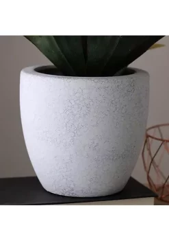 Outlet ✨ Northlight 13" Potted Artificial Green Agave Plant 💯 -Outlet Northlight Store Belk 1603