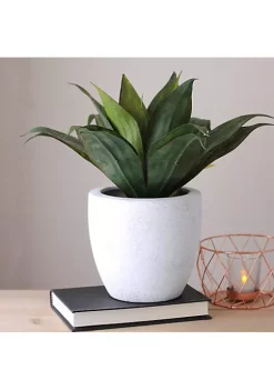 Outlet ✨ Northlight 13" Potted Artificial Green Agave Plant 💯 -Outlet Northlight Store Belk 1604