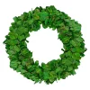 Discount ⌛ Northlight 20" Lush Green Preserved Leaf Spring Garden Wreath - Unlit 🔔 -Outlet Northlight Store Belk 1623