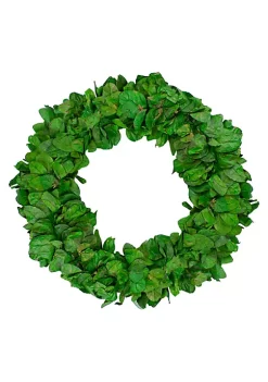 Discount ⌛ Northlight 20" Lush Green Preserved Leaf Spring Garden Wreath - Unlit 🔔 -Outlet Northlight Store Belk 1626