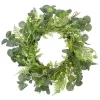 Buy 🥰 Northlight Eucalyptus and Foliage Springtime Floral Wreath Green 21" ✔️