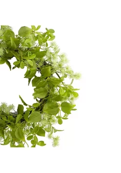 Budget ๐ฏ Northlight Jujube Floral and Foliage Springtime Wreath Green 18" โจ 9 Budget ๐ฏ Northlight Jujube Floral and Foliage Springtime Wreath Green 18" โจ -Outlet Northlight Store Belk 1665