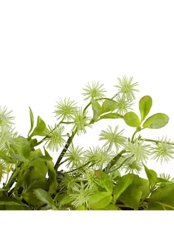 Budget ๐ฏ Northlight Jujube Floral and Foliage Springtime Wreath Green 18" โจ 10 Budget ๐ฏ Northlight Jujube Floral and Foliage Springtime Wreath Green 18" โจ -Outlet Northlight Store Belk 1666