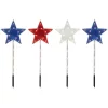 Wholesale 💯 Northlight 4ct Americana Stars 4th of July Pathway Marker Lawn Stakes Clear Lights ✔️