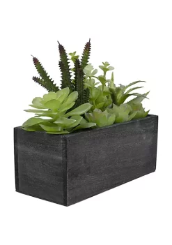 Buy ๐ฏ Northlight 10" Artificial Mixed Succulent Plants in a Rectangular Planter ๐ฏ 9 Buy ๐ฏ Northlight 10" Artificial Mixed Succulent Plants in a Rectangular Planter ๐ฏ -Outlet Northlight Store Belk 1722