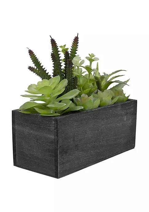 Buy ๐ฏ Northlight 10" Artificial Mixed Succulent Plants in a Rectangular Planter ๐ฏ 5 Buy ๐ฏ Northlight 10" Artificial Mixed Succulent Plants in a Rectangular Planter ๐ฏ - Image 3