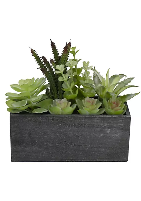 Buy ๐ฏ Northlight 10" Artificial Mixed Succulent Plants in a Rectangular Planter ๐ฏ 6 Buy ๐ฏ Northlight 10" Artificial Mixed Succulent Plants in a Rectangular Planter ๐ฏ - Image 4