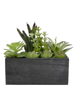 Buy ๐ฏ Northlight 10" Artificial Mixed Succulent Plants in a Rectangular Planter ๐ฏ 11 Buy ๐ฏ Northlight 10" Artificial Mixed Succulent Plants in a Rectangular Planter ๐ฏ -Outlet Northlight Store Belk 1724