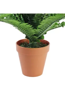 Promo 🎉 Northlight 17.5" Potted Artificial Tall Green Boston Fern Plant ✔️ -Outlet Northlight Store Belk 1756
