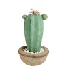 Promo ⌛ Northlight 13.75” Potted Green and Brown Artificial Cactus Plant with Flowers ✔️ -Outlet Northlight Store Belk 1773