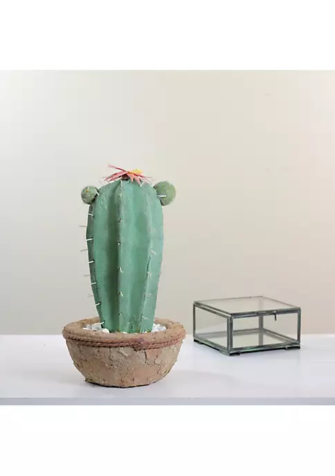 Promo ⌛ Northlight 13.75” Potted Green and Brown Artificial Cactus Plant with Flowers ✔️ 5 Promo ⌛ Northlight 13.75” Potted Green and Brown Artificial Cactus Plant with Flowers ✔️ - Image 3