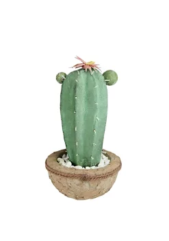 Promo ⌛ Northlight 13.75” Potted Green and Brown Artificial Cactus Plant with Flowers ✔️ 9 Promo ⌛ Northlight 13.75” Potted Green and Brown Artificial Cactus Plant with Flowers ✔️ -Outlet Northlight Store Belk 1776