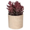 Top 10 👍 Northlight 7" Purple Artificial Succulent in Faux Wood Pot 🎁 -Outlet Northlight Store Belk 1781