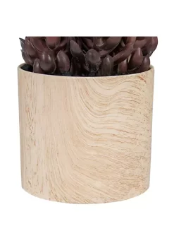 Top 10 👍 Northlight 7" Purple Artificial Succulent in Faux Wood Pot 🎁 -Outlet Northlight Store Belk 1783