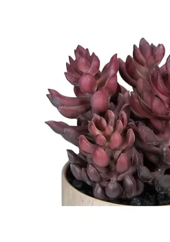 Top 10 👍 Northlight 7" Purple Artificial Succulent in Faux Wood Pot 🎁 -Outlet Northlight Store Belk 1784
