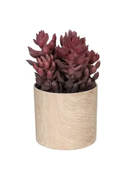 Top 10 👍 Northlight 7" Purple Artificial Succulent in Faux Wood Pot 🎁 -Outlet Northlight Store Belk 1785